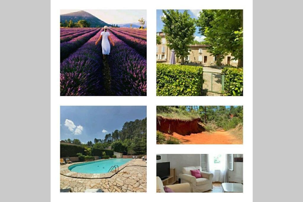 Eblouissant Appartement Au Calme D'Une Residence Avec Piscine Idealement Situe Au Pied Du Colorado Provencal Dans Le Prestigieux Luberon Rustrel Buitenkant foto